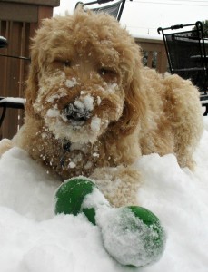 Amos' Santa Claus impression